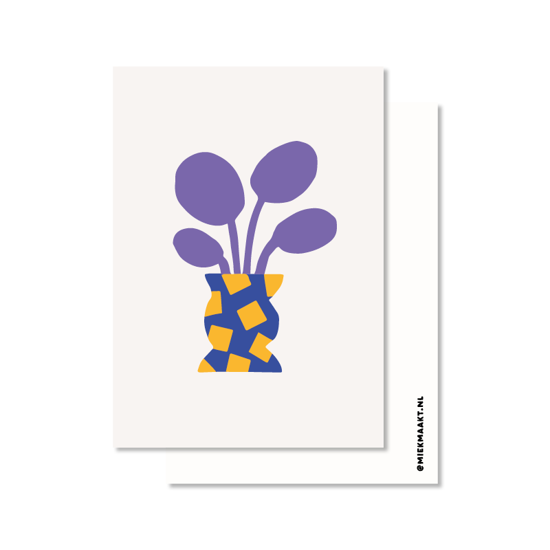Pannenkoekplant