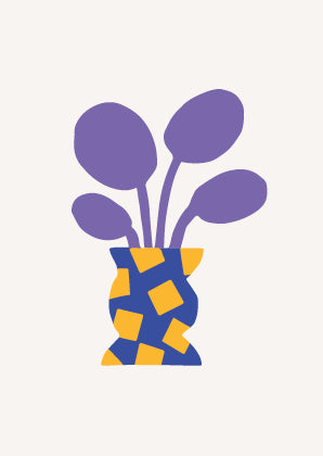 Pannenkoekplant