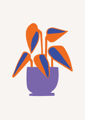 Poster Oranje plant