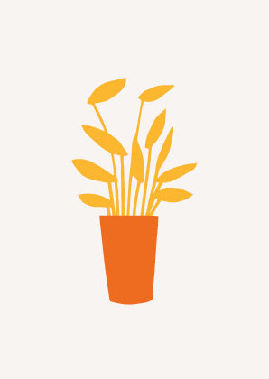 Gele plant