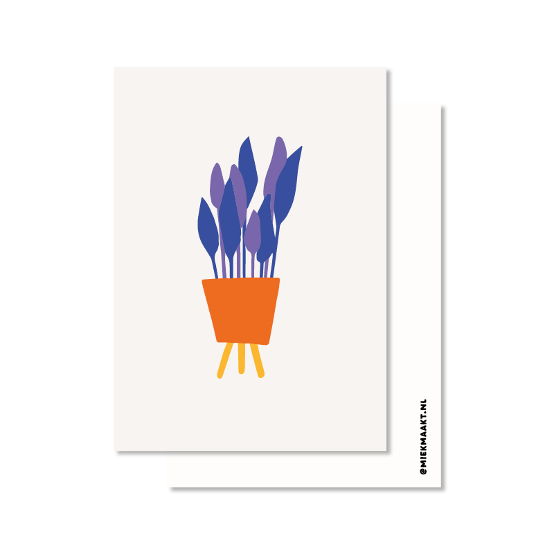 Blauwe paarse plant