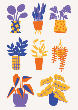 Planten verzameling