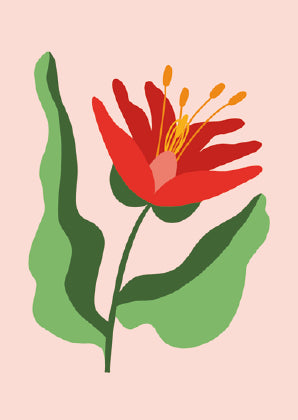 Rode bloem
